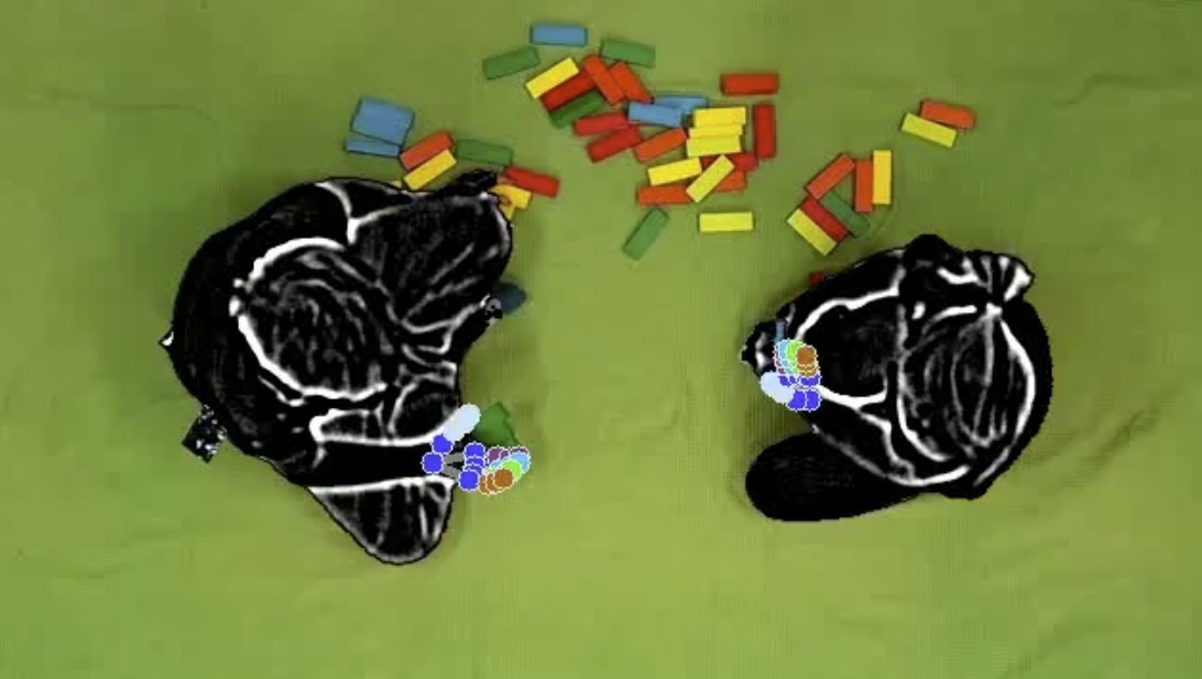 “Figure S1. Overview demographics Sibling dataset”